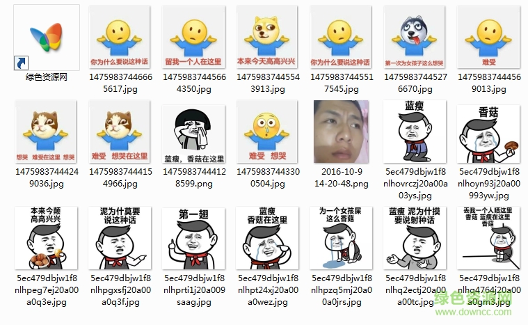 蓝瘦香菇搞笑表情包 0