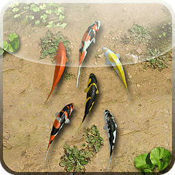 水塘高清创意动态壁纸(百资水塘3D动态壁纸)