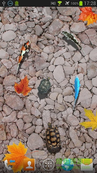 水塘高清创意动态壁纸(百资水塘3D动态壁纸) v1.98 安卓版1