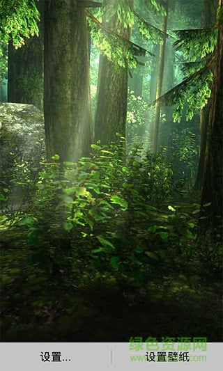 3d森林动态壁纸 v1.1.7 安卓版0