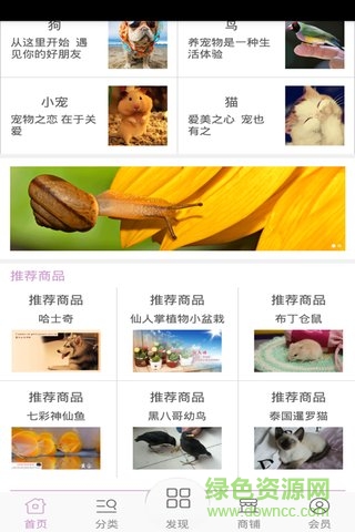 宠物平台手机客户端 v1 安卓版3