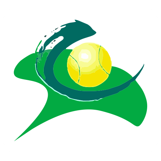 成都网悦手机客户端