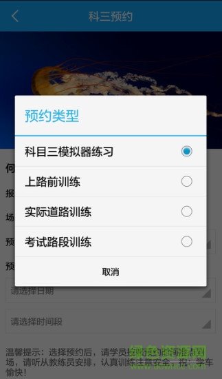 城城约驾手机版 v2.0.9 安卓版2