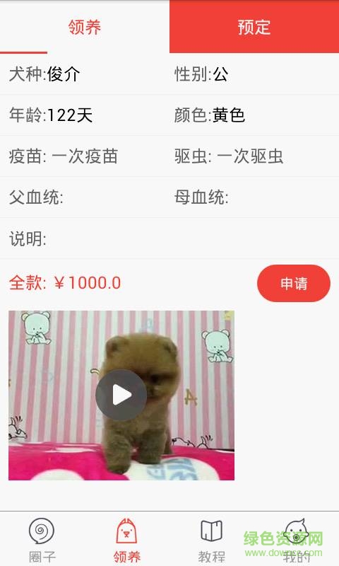 领狗狗手机版 v2.4 安卓版1