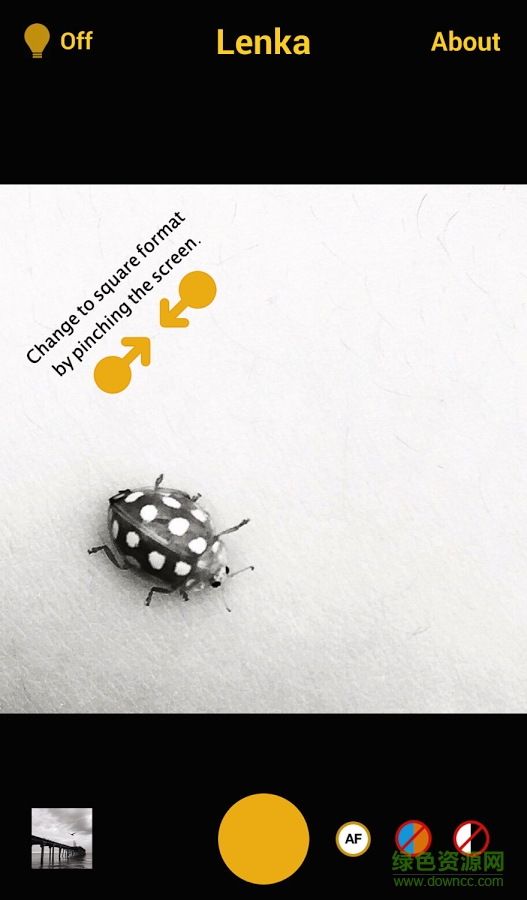 Lenka(黑白滤镜) v1.0.24 安卓版2
