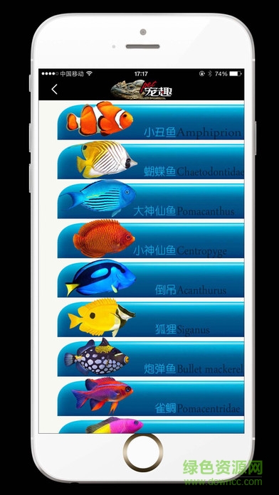 pet宠趣手机版 v1.0 安卓版1