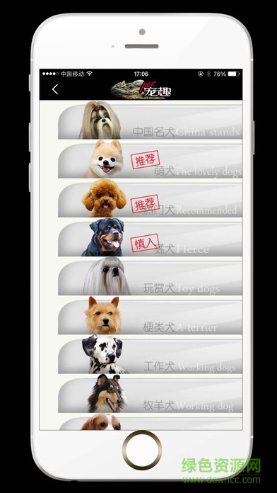 pet宠趣手机版 v1.0 安卓版2