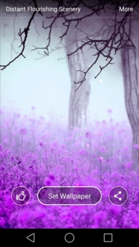 彼岸繁华手机版 v2.3.7 安卓版1