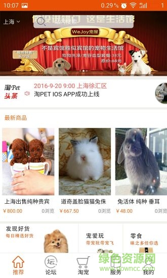 淘Pet(宠物社区) v2.0.2 安卓版2