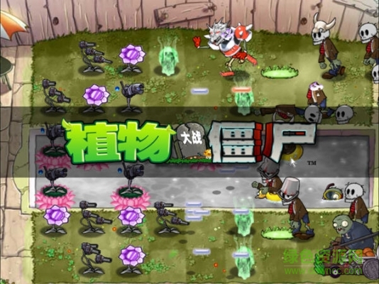 植物大战僵尸魔幻版 绿色中文版0