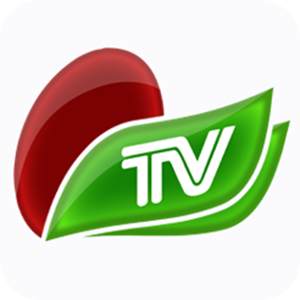 智慧乐陵手机台