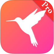 网盘搜索pro版ios版