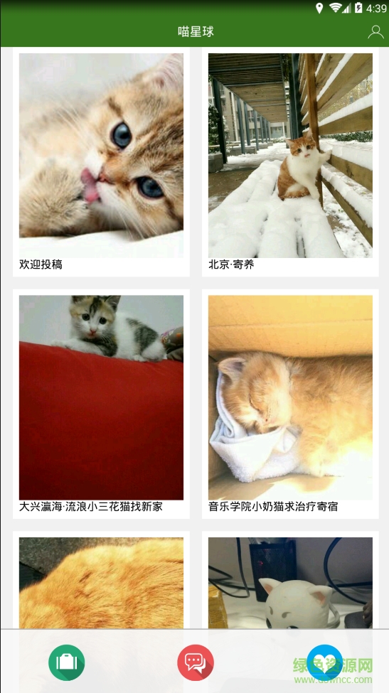 喵星球手机版(流浪猫平台) v1.0.5 安卓版0