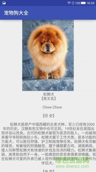 宠物狗大全手机版 v1.0 安卓版1