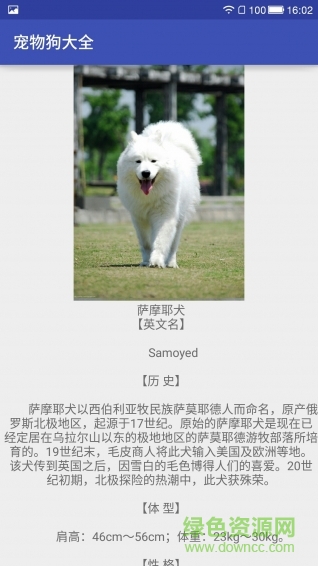 宠物狗大全手机版 v1.0 安卓版2