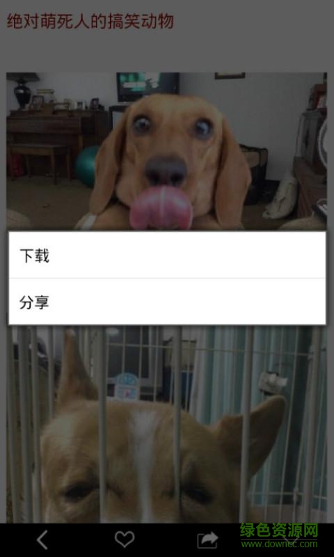 火爆趣图手机版 v8.1.8 安卓版2