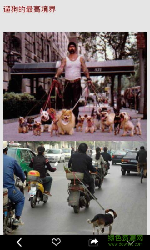 火爆趣图手机版 v8.1.8 安卓版1