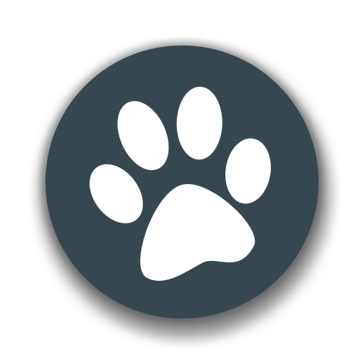 兽音译者在线翻译app