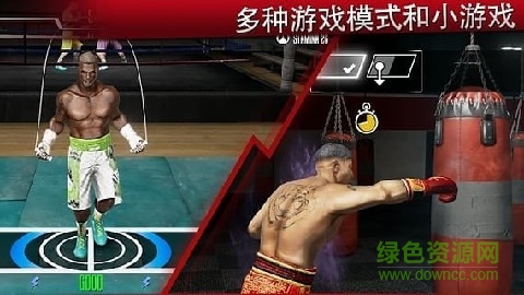 真实拳击2汉化修改版(Real Boxing 2) v1.0 安卓无限金币版1