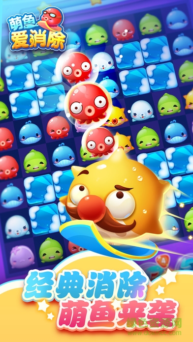 波克城市萌鱼爱消除游戏 v1.09 安卓版0