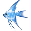 鱼眼COK精灵独立版