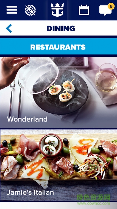 royal iq安卓版 royal iq app