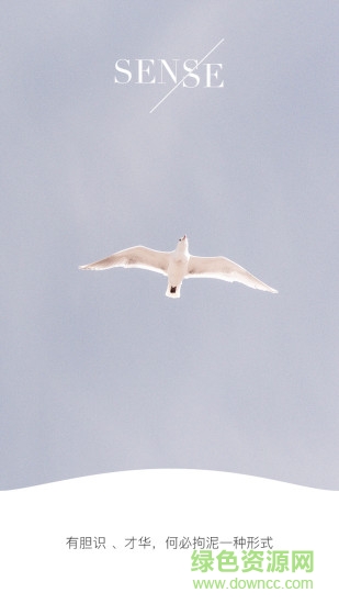 任意连接手机版 v3.3.2 安卓版0