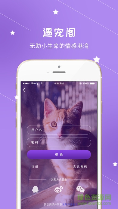 遇宠阁(宠物软件) v1.72 安卓版4