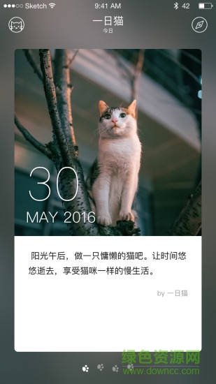 一日猫手机客户端 v2.4.7 安卓版1