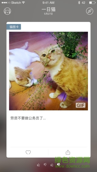 一日猫手机客户端 v2.4.7 安卓版2