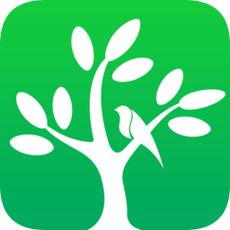 呼唤森林官方版