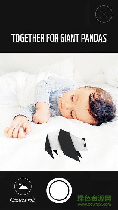 WWF Together中文版(动物折纸) v1.1.0 安卓版0