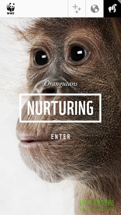 WWF Together中文版(动物折纸) v1.1.0 安卓版1