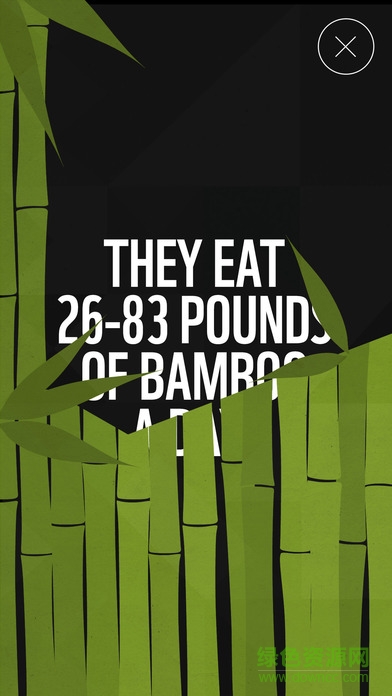 WWF Together中文版(动物折纸) v1.1.0 安卓版3