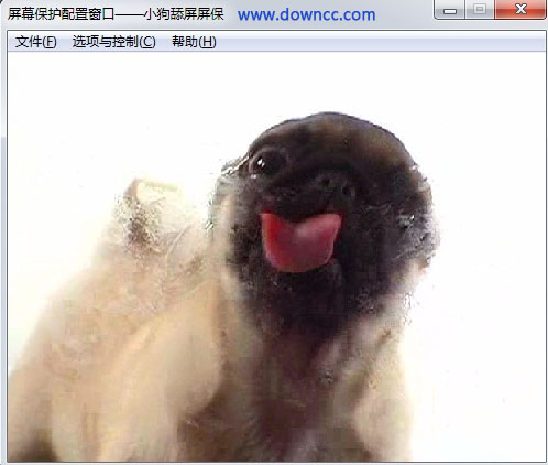 狗狗舔屏动态屏保 v1.4 绿色版0