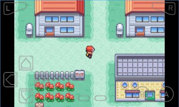 口袋妖怪火红修改版宠物满级 v2.0.0 安卓无限金钱版0