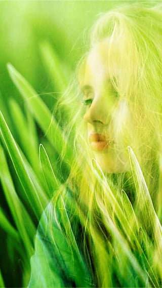 photo blender(图片融合) v1.8.0 官方安卓版5