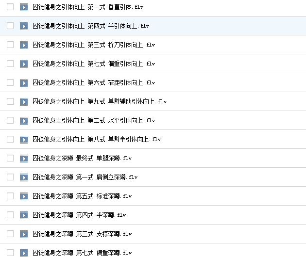 囚徒健身教学视频全集 0