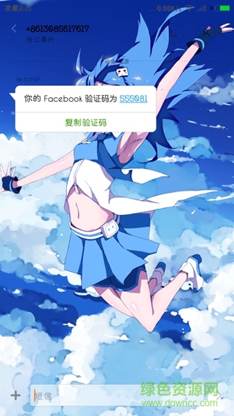 2233娘MIUI主题 v1.0 安卓版1