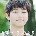 宋仲基太阳的后裔表情包