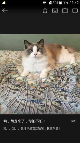 吾萌(宠物交流) v1.0.16 安卓版2