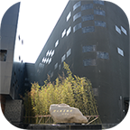 晒墨宝(上海博物馆导览)