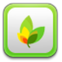 易视网页编辑器