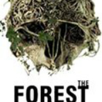 迷失森林全版本联机补丁