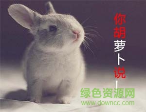 3.jpg 萌宠表情包