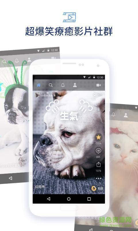 宠拍(Pamily) v1.1.0  安卓版2