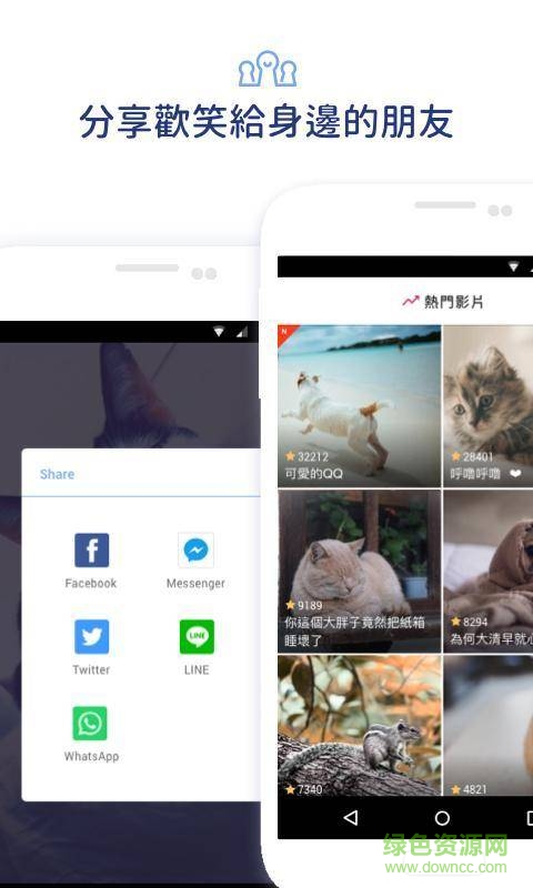 宠拍(Pamily) v1.1.0  安卓版3