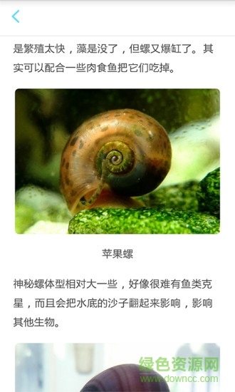 养鱼达人(养鱼知识) v1.0 安卓版3