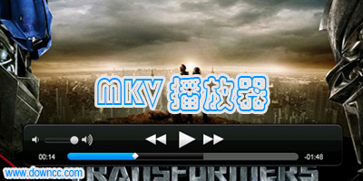 mkv播放器