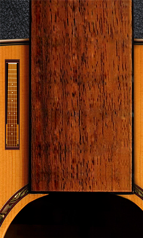 手心吉他(模拟吉他) v1.2 安卓版0